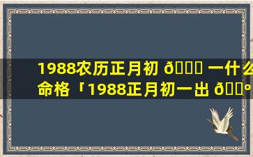 1988农历正月初 🕊 一什么命格「1988正月初一出 🐺 生的人是什么星座」